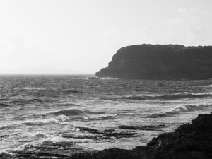Vidange fosse septique Le Moule